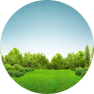 ClassifiAd Icon
